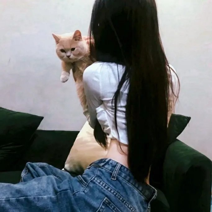 又是谁搞的鬼