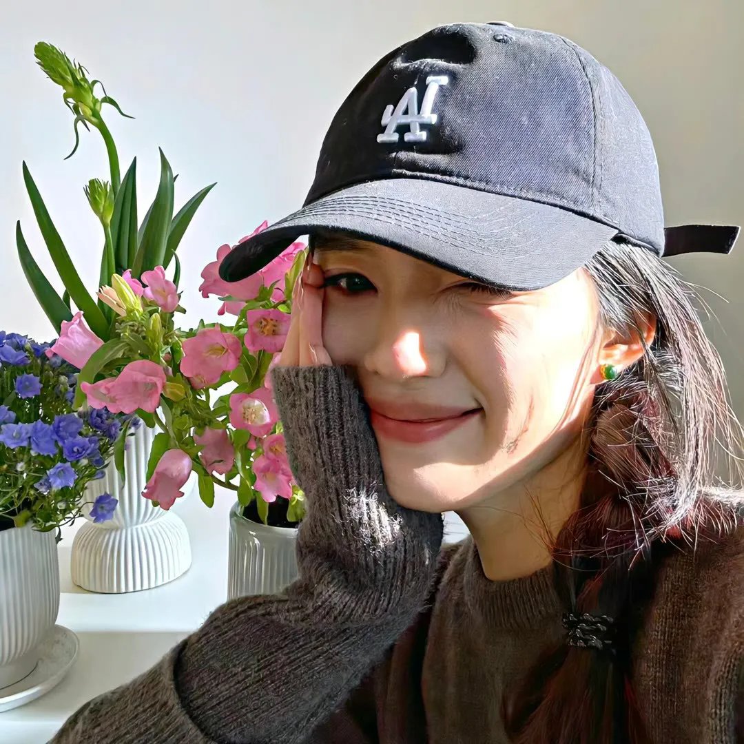 白鹭谣